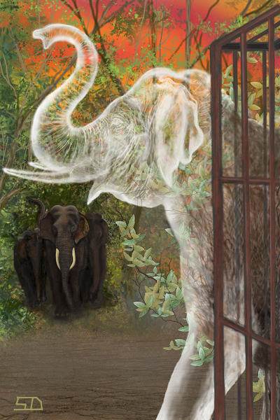 La balada de un elefante espectral - ilustración